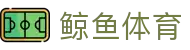 鲸鱼体育-JINGYU SPORTS官方赛事直播平台​​
